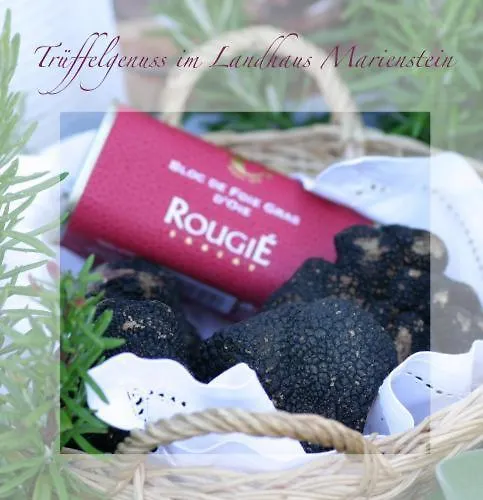 Marienstein 4* Bergen (Saxony)